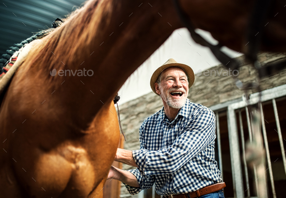 A senior man putting a saddle on a horse in a stable.