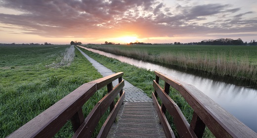 CORPORATE LOUNGE SPRING