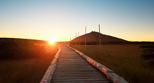 CORPORATE MOTIVATION