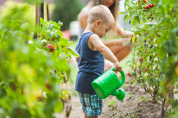 Cute toddler helphing mom in the garden Stock Photo by tommyandone