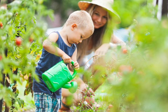 Cute toddler helphing mom in the garden Stock Photo by tommyandone