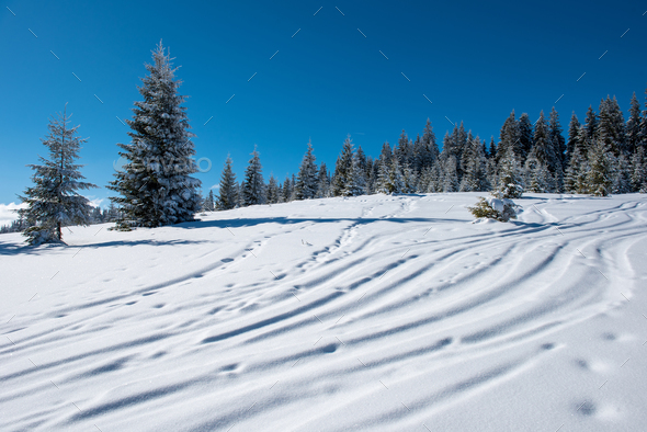 Freeride ski and snowboard tracks in powder snow Stock Photo by salajean