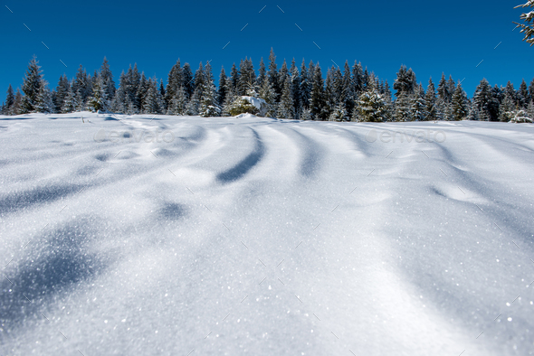 Freeride ski and snowboard tracks in powder snow Stock Photo by salajean