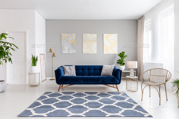 Real photo of bright living room interior with royal blue couch, Stock Photo by bialasiewicz