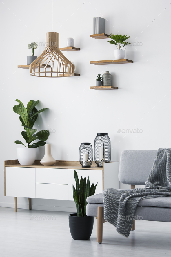 Wooden pendant light, simple shelves on a white wall and a plant - Stock Photo - Images