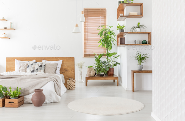 Real photo of a cozy bedroom interior with plants, double bed, r Stock Photo by bialasiewicz