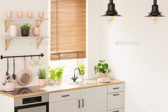 Plants On Wooden Countertop In Kitchen Interior With Blinds Lam Plants On Wooden Countertop In Kitchen Interior With Blinds Lam