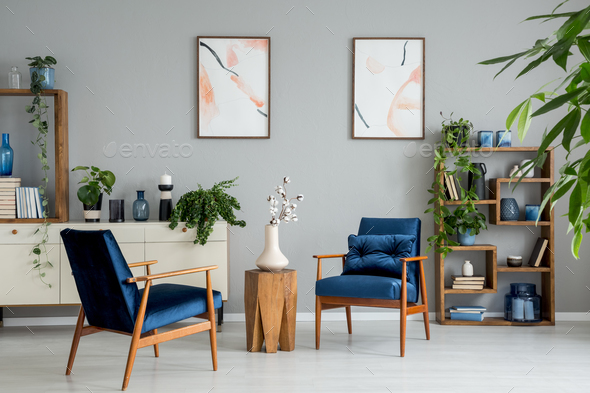 Posters and plants in bright living room interior with navy blue Stock Photo by bialasiewicz