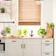 Lamps above wooden countertop with plants in bright kitchen inte - $5.00 Lamps above wooden countertop with plants in bright kitchen inte