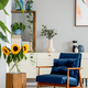 Sunflowers on wooden stool next to blue armchair in living room - $5.00 Sunflowers on wooden stool next to blue armchair in living room