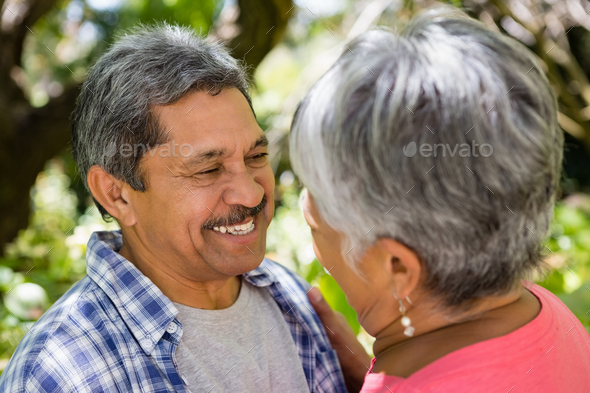 Romantic senior couple looking face to face in garden Romantic senior couple looking face to face in garden