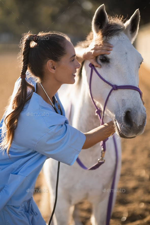 Side view of female vet checking horse Stock Photo by Wavebreakmedia