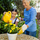 Smiling senior woman standing by granddaughter watering yellow flowers on table - $5.00 Smiling senior woman standing by granddaughter watering yellow flowers on table