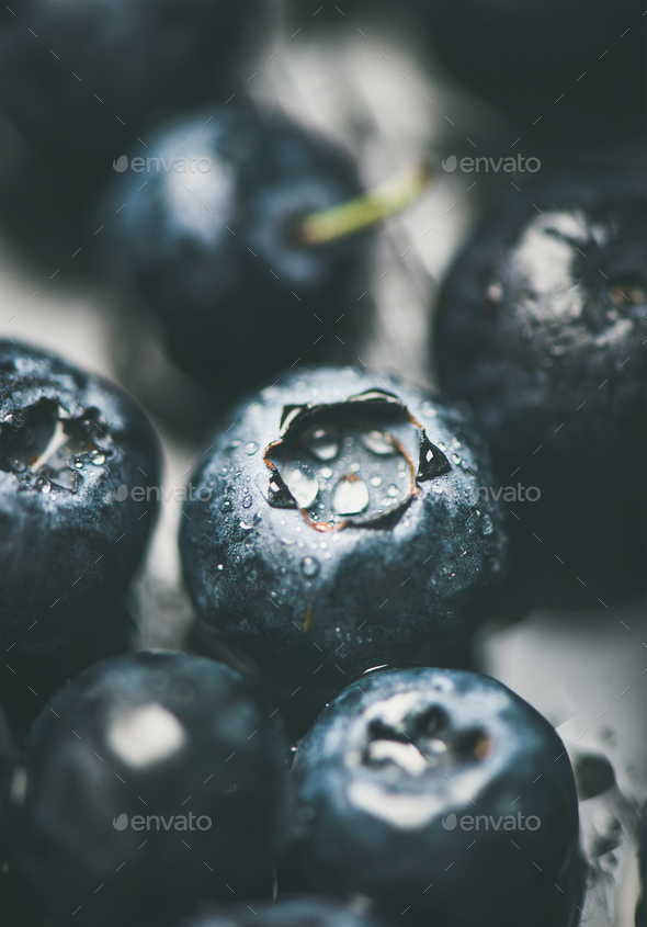 Fresh forest blueberry texture, wallpaper and background, vertical composition, close-up