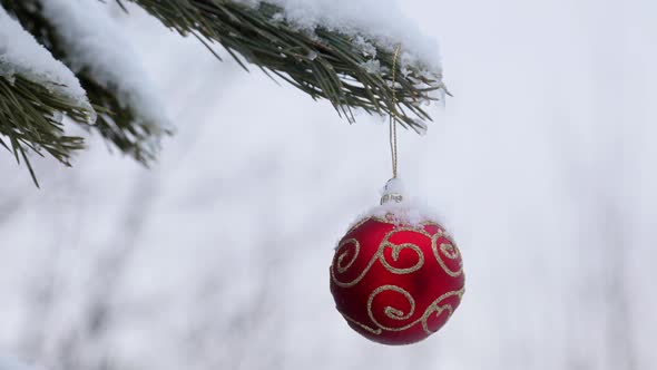 Christmas Ball is Hanging on a Winter Christmas Tree