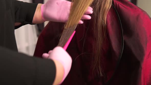 The Hairdresser Applies Hair Dye Hair Color and Hair Color to the Blonde Hair