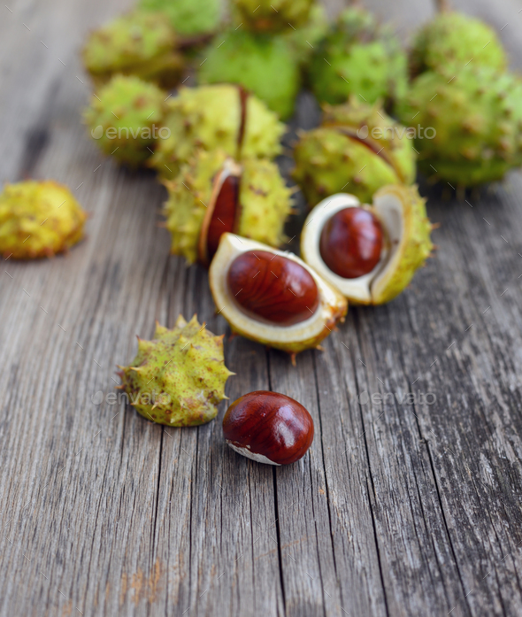 Chestnut on old wooden background - Stock Photo - Images
