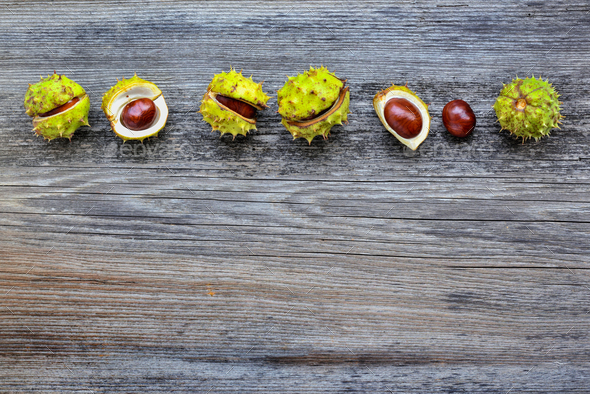 Chestnut on old wooden background with copy space for your text. - Stock Photo - Images