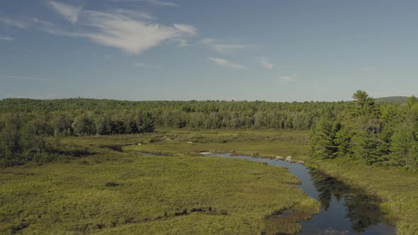 Beautiful lush green aerial scenic view of Union River in Eastern Maine alt