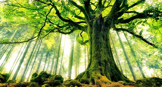 Epic Inspiring Cinematic collection