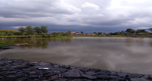 like kasmaran OKU SELATAN