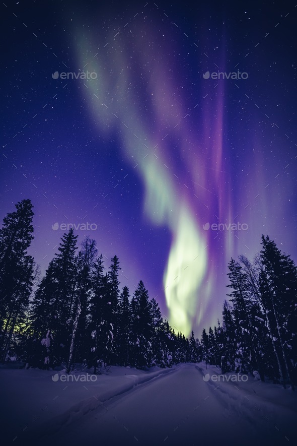 Beautiful Purple And Green Northern Lights Aurora Borealis In The Night Sky Over Winter Lapland Landscape Finland Scandinavia Stock Images Page Everypixel