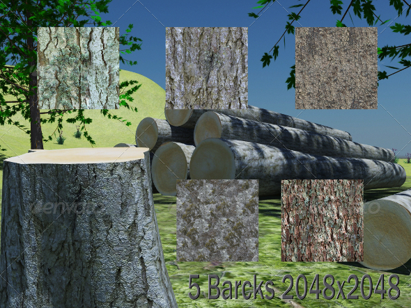 5 Barcks Texture - 3Docean 2209254