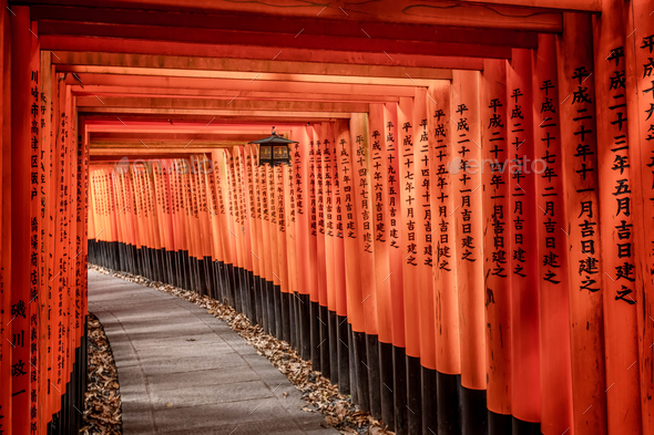 Fushima Tori Gate, Kyoto - Stock Photo - Images