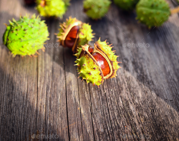 Chestnut in sunshine on old wooden background - Stock Photo - Images