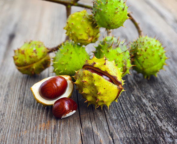 Chestnuts on old wooden background - Stock Photo - Images