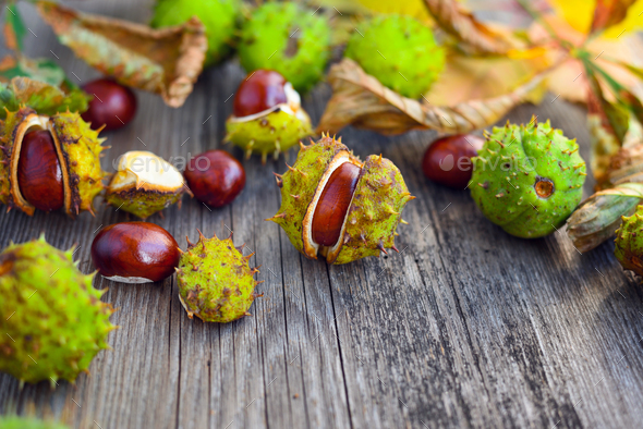 Chestnuts with dry leaves on old wooden background - Stock Photo - Images