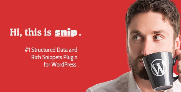 Rich Snippets WordPress Plugin - CodeCanyon Item for Sale