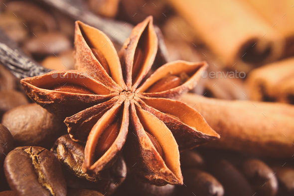Vintage photo, Closeup of anise, vanilla, cinnamon sticks and coffee grains - Stock Photo - Images