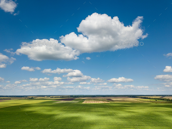 Beautiful rural lanscape with blue sky and white clouds, agricultural fields, meadows, green trees - Stock Photo - Images