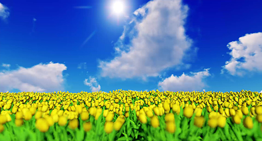 Footage - Background