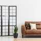 Screen and plant next to leather sofa with cushions in white apa - $5.00 Screen and plant next to leather sofa with cushions in white apa