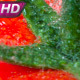 Freshly Pickled Tomatoes - VideoHive Item for Sale