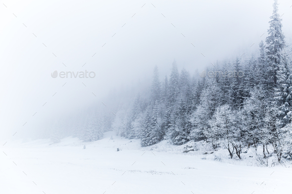 Download Winter White Forest With Snow Christmas Background Stock Photo By Blas 3D SVG Files Ideas | SVG, Paper Crafts, SVG File