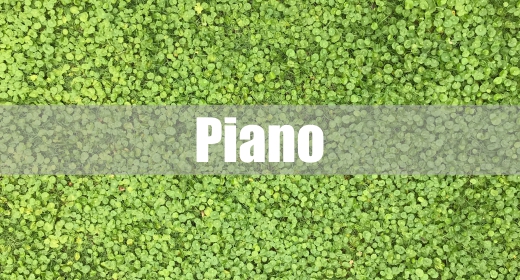 Piano