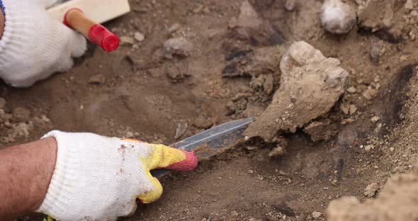 Archaeological Excavations Work of the Search Team at the Site of a Mass Shooting of People alt