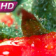 Fresh Tomatoes For Restaurant - VideoHive Item for Sale
