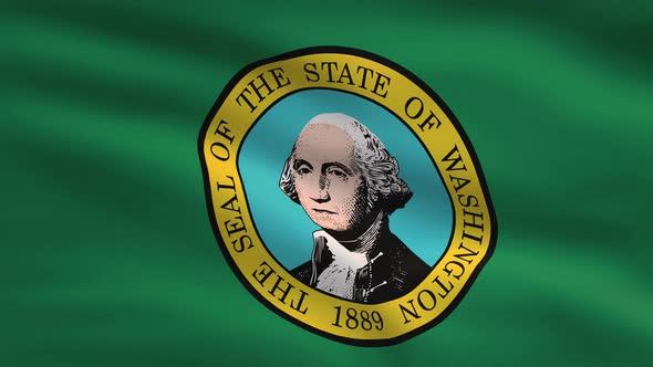 Washington State Flag Background 4K alt