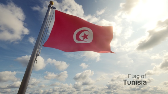 Tunisia Flag on a Flagpole alt