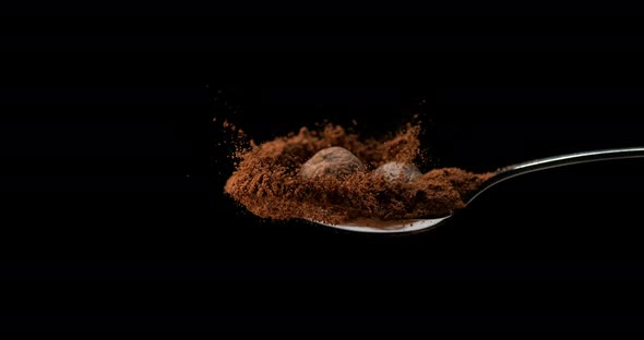Nutmeg, myristica fragans, Nut falling on Powder against Black Background, Slow Motion 4K alt