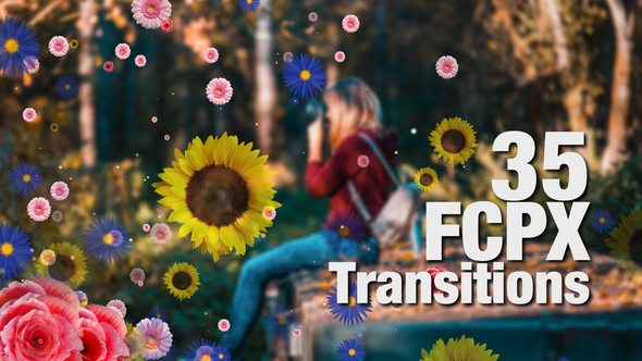 FCPX transition pack for Editors