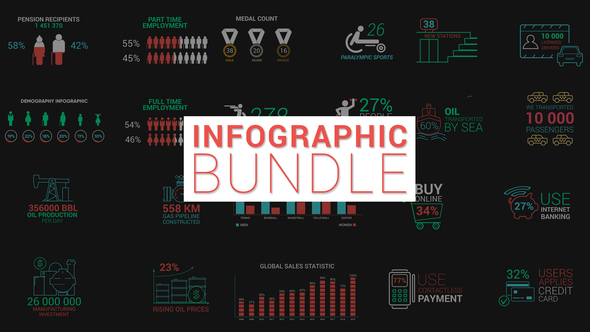 Infographic Bundle - VideoHive 22806624