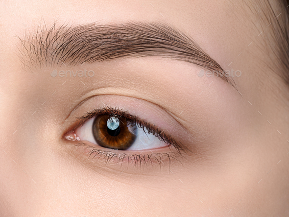 Close up view of beautiful brown female eye