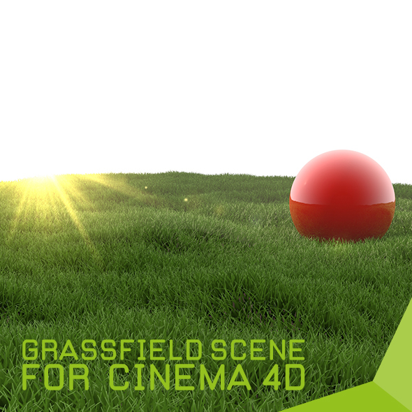 grassfield scene for - 3Docean 22811970