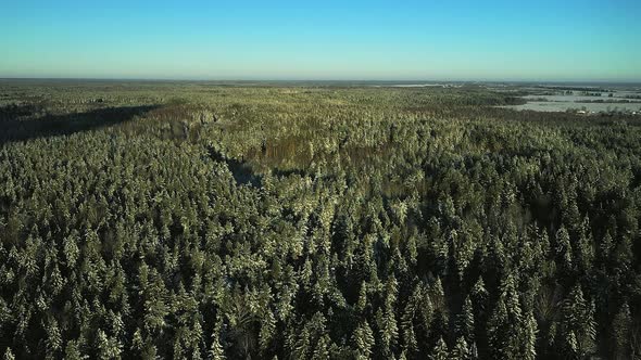 Huge Woodlands in the Northern Hemisphere