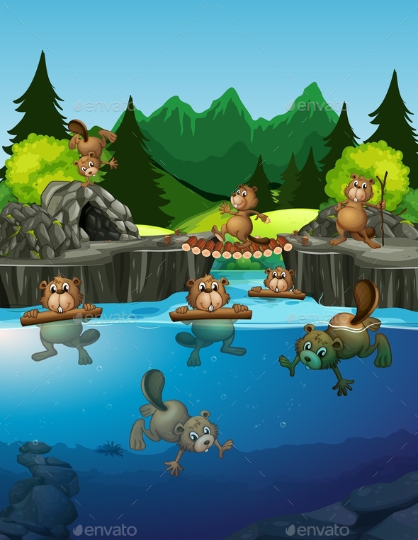Beaver Living in The Lake - Animals Characters